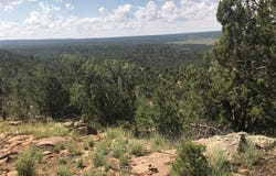 Glorieta Mesa, Ilfeld, NM 87535