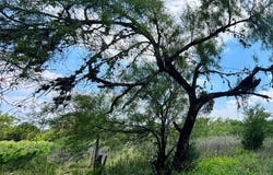 10348 River Rd, Camp Wood, TX 78833