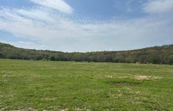 50 AC Ranchwood  RD, Prairie Grove, AR 72753