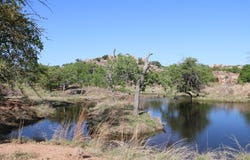 Other, Llano, TX 78643