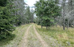 00 E 10 Mile Road, Irons, MI 49644