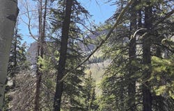 331 Beaver Circle, Durango, CO 81301