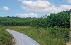 Lot #41 Three Point Rd, Madisonville, TN 37354