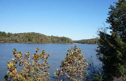 200 Main St., Iva, SC 29655