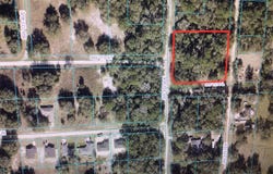 0 SW 132 AVE & SW 131 TERRACE, DUNNELLON, FL 34432