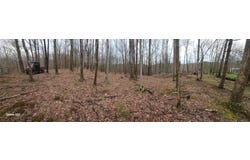 3504 East Fork Road, Means, KY 40346