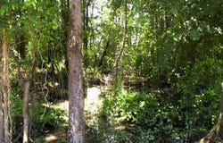 263 LR 182, Ashdown, AR 71822