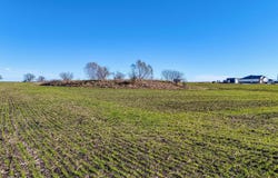 18502 FM 2268, Holland, TX 76534