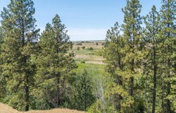 36000 S Bootstrap Ln, Cheney, WA 99004