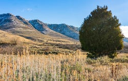 5630 E HIGHLAND VIEW Ct, Eden, UT 84310