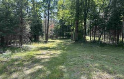 TBD Beaver, Perkins, MI 49872-0000