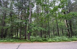 TRAILWOOD DR lot: #90, Minocqua, WI 54548