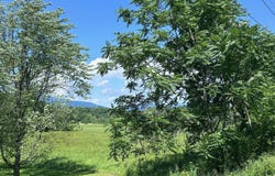 Tbd W Camp, Saugerties, NY 12477