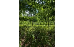 Lot 2 361st Street, Stanley, WI 54768