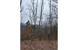 Ethan Ridge, Hayesville, NC 28909
