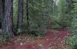 00 Slate Creek Road, La Honda, CA 94020