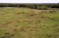 FM 39 Road, Groesbeck, TX 76642