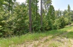 The Vines Boulevard lot: 2, Marshall, NC 28753