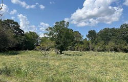 TBD County Road 227, Caldwell, TX 77836