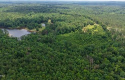 540 Fall Road, Thomasville, AL 36784