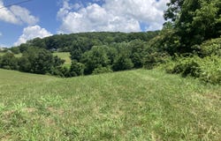 Harmon Rd, New Tazewell, TN 37825