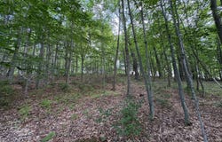 0 Sunset Ridge Rd, Cooperstown, NY 13326