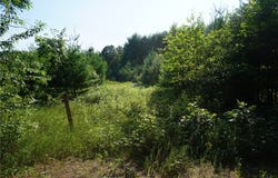 N12715 N Monthei Road, Fairchild, WI 54741