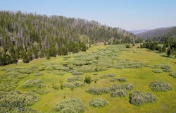 HWY 43, Wisdom, MT 59761