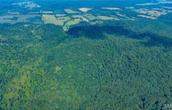 22978 BCR 826, Glen Allen, MO 63751