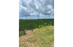 2000 County Road, Varna, IL 61375
