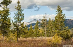 2819 NE Sagehen Dr, Island Park, ID 83429