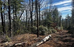 0 Timber Ridge Road, Millers Creek, NC 28651