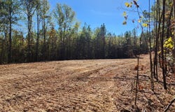 1 County Rd 51, Greensboro, AL 36744