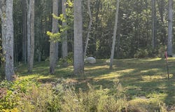 405 Hollywood Drive lot: 66, Corbin, KY 40701