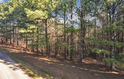 Foxpaw Leaf Lane, Ellijay, GA 30536