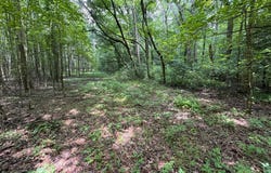 TRUNK LINE ROAD, HENDERSON, MD 21640