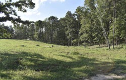 20298 Highway VV, Licking, MO 65542
