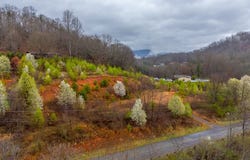 Connor Rd, Sylva, NC 28779