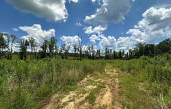 0001 Old Wheeling Road, West, MS 39192