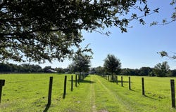 15353 S 475, Summerfield, FL 34491
