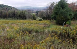GARRETT Trail, OAKLAND, MD 21550