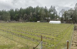 4460 Dick George Road, Cave Junction, OR 97523