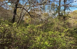 760-19585-000 Sandot  DR, Bull Shoals, AR 72619
