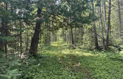 1961 Town Road 118, Birchdale, MN 56629