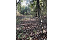 Tbd Flarity Road, Jefferson, TX 75657