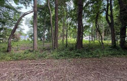 BAY Drive, STEVENSVILLE, MD 21666