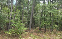 Johnny Williams Road unit: 5, Kershaw, SC 29067
