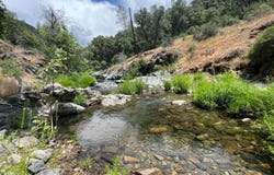 Sheep Ranch Rd, Sheep Ranch, CA 95246