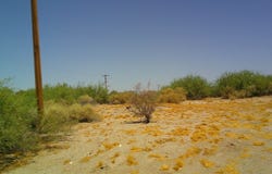 23, Wellton, AZ 85356