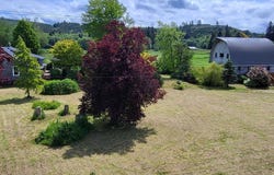 86 Altoona Pillar Rock Road, Rosburg, WA 98643